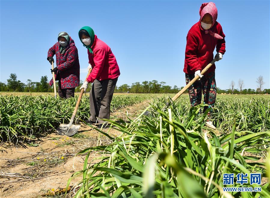 （新華全媒頭條·圖文互動）（17）從人民中汲取磅礴力量——習近平總書記同出席2020年全國兩會人大代表、政協(xié)委員共商國是紀實