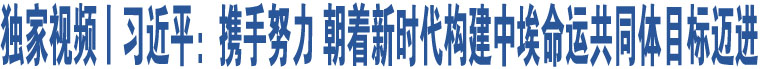 獨(dú)家視頻丨習(xí)近平：攜手努力 朝著新時(shí)代構(gòu)建中埃命運(yùn)共同體目標(biāo)邁進(jìn)