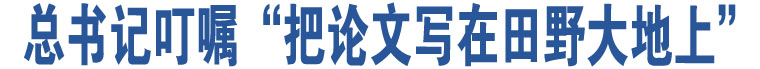 總書(shū)記叮囑“把論文寫(xiě)在田野大地上”