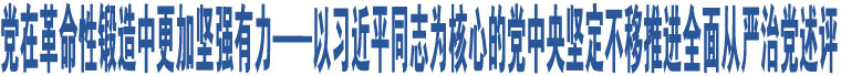 黨在革命性鍛造中更加堅強有力——以習(xí)近平同志為核心的黨中央堅定不移推進全面從嚴治黨述評