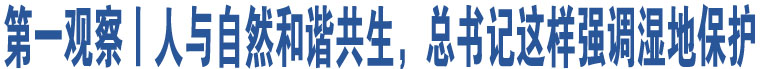 第一觀察丨人與自然和諧共生，總書記這樣強(qiáng)調(diào)濕地保護(hù)