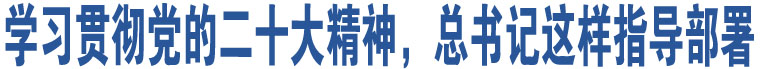 學(xué)習(xí)貫徹黨的二十大精神，總書(shū)記這樣指導(dǎo)部署