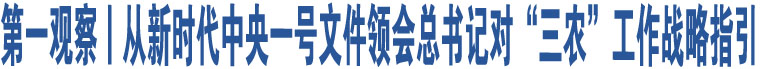 第一觀察丨從新時代中央一號文件領會總書記對“三農”工作戰(zhàn)略指引