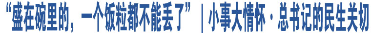 “盛在碗里的，一個飯粒都不能丟了”｜小事大情懷·總書記的民生關(guān)切