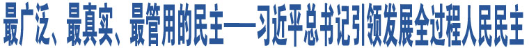 最廣泛、最真實、最管用的民主——習(xí)近平總書記引領(lǐng)發(fā)展全過程人民民主