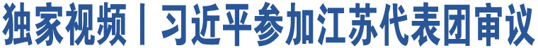 獨(dú)家視頻丨習(xí)近平參加江蘇代表團(tuán)審議