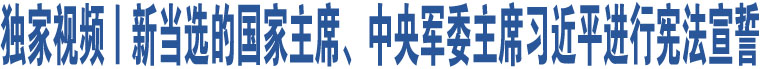 獨家視頻丨新當(dāng)選的國家主席、中央軍委主席習(xí)近平進(jìn)行憲法宣誓