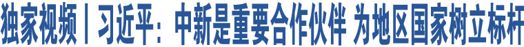 獨(dú)家視頻丨習(xí)近平：中新是重要合作伙伴 為地區(qū)國(guó)家樹立標(biāo)桿