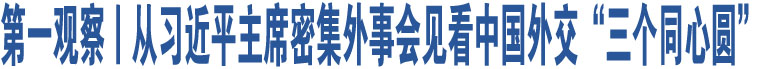 第一觀察丨從習(xí)近平主席密集外事會見看中國外交“三個同心圓”