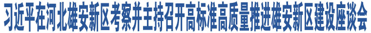 習(xí)近平在河北雄安新區(qū)考察并主持召開高標(biāo)準(zhǔn)高質(zhì)量推進(jìn)雄安新區(qū)建設(shè)座談會