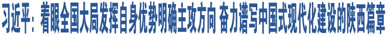 習(xí)近平：著眼全國(guó)大局發(fā)揮自身優(yōu)勢(shì)明確主攻方向 奮力譜寫中國(guó)式現(xiàn)代化建設(shè)的陜西篇章