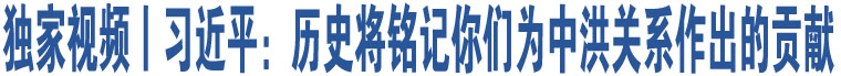 獨(dú)家視頻丨習(xí)近平：歷史將銘記你們?yōu)橹泻殛P(guān)系作出的貢獻(xiàn)