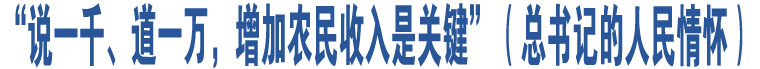 “說(shuō)一千、道一萬(wàn)，增加農(nóng)民收入是關(guān)鍵”（總書記的人民情懷）