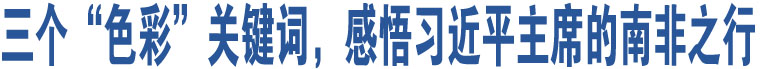 三個(gè)“色彩”關(guān)鍵詞，感悟習(xí)近平主席的南非之行