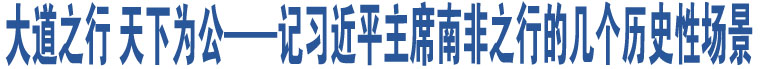 大道之行 天下為公——記習(xí)近平主席南非之行的幾個(gè)歷史性場(chǎng)景