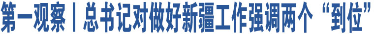 第一觀察丨總書記對(duì)做好新疆工作強(qiáng)調(diào)兩個(gè)“到位”