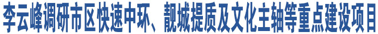 李云峰調(diào)研市區(qū)快速中環(huán)、靚城提質(zhì)及文化主軸等重點(diǎn)建設(shè)項(xiàng)目