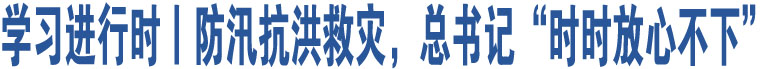 學(xué)習(xí)進(jìn)行時(shí)丨防汛抗洪救災(zāi)，總書(shū)記“時(shí)時(shí)放心不下”