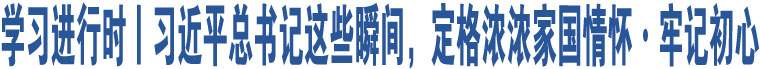 學(xué)習(xí)進行時丨習(xí)近平總書記這些瞬間，定格濃濃家國情懷·牢記初心