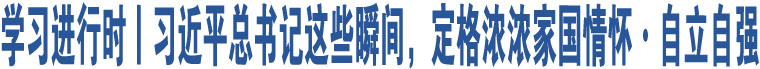 學(xué)習(xí)進行時丨習(xí)近平總書記這些瞬間，定格濃濃家國情懷·自立自強