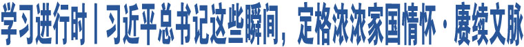 學(xué)習(xí)進行時丨習(xí)近平總書記這些瞬間，定格濃濃家國情懷·賡續(xù)文脈 