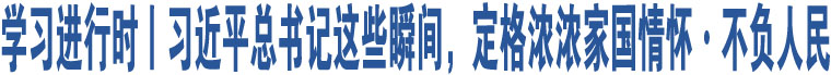 學(xué)習(xí)進行時丨習(xí)近平總書記這些瞬間，定格濃濃家國情懷·不負(fù)人民