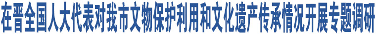 在晉全國(guó)人大代表對(duì)我市文物保護(hù)利用和文化遺產(chǎn)傳承情況開展專題調(diào)研