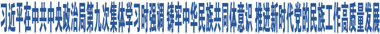 習(xí)近平在中共中央政治局第九次集體學(xué)習(xí)時強(qiáng)調(diào) 鑄牢中華民族共同體意識 推進(jìn)新時代黨的民族工作高質(zhì)量發(fā)展