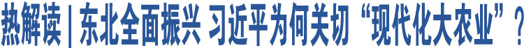 熱解讀 | 東北全面振興 習(xí)近平為何關(guān)切“現(xiàn)代化大農(nóng)業(yè)”？