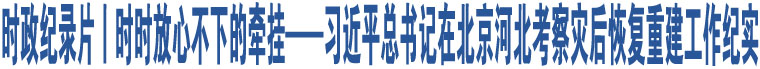 時政紀(jì)錄片丨時時放心不下的牽掛——習(xí)近平總書記在北京河北考察災(zāi)后恢復(fù)重建工作紀(jì)實