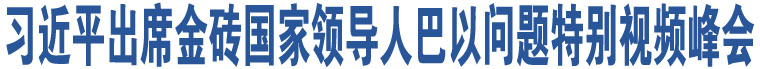 習(xí)近平出席金磚國家領(lǐng)導(dǎo)人巴以問題特別視頻峰會(huì)