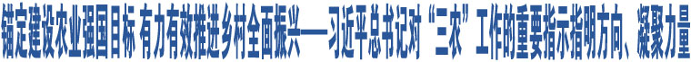 錨定建設(shè)農(nóng)業(yè)強(qiáng)國目標(biāo) 有力有效推進(jìn)鄉(xiāng)村全面振興——習(xí)近平總書記對“三農(nóng)”工作的重要指示指明方向、凝聚力量