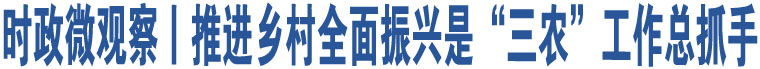 時(shí)政微觀察丨推進(jìn)鄉(xiāng)村全面振興是“三農(nóng)”工作總抓手