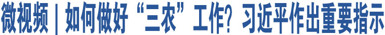微視頻｜如何做好“三農(nóng)”工作？習(xí)近平作出重要指示