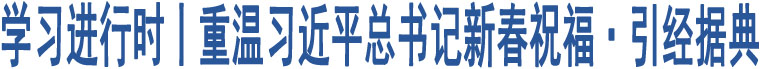 學(xué)習(xí)進(jìn)行時(shí)丨重溫習(xí)近平總書(shū)記新春祝?！ひ?jīng)據(jù)典