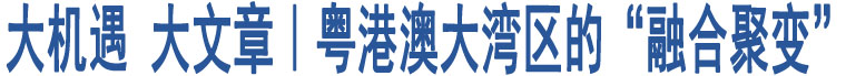 大機(jī)遇 大文章｜粵港澳大灣區(qū)的“融合聚變” 