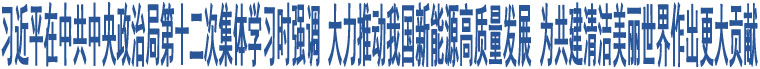 習(xí)近平在中共中央政治局第十二次集體學(xué)習(xí)時強調(diào) 大力推動我國新能源高質(zhì)量發(fā)展 為共建清潔美麗世界作出更大貢獻