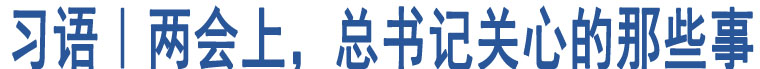 習(xí)語｜兩會上，總書記關(guān)心的那些事