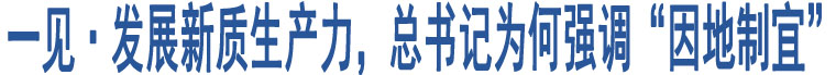 一見·發(fā)展新質(zhì)生產(chǎn)力，總書記為何強調(diào)“因地制宜”