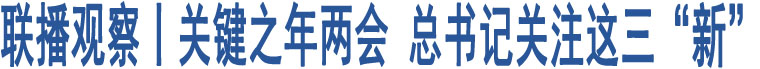 聯(lián)播觀察丨關(guān)鍵之年兩會 總書記關(guān)注這三“新”