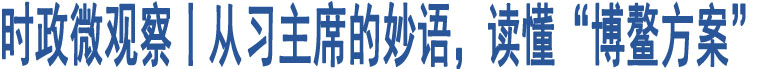 時(shí)政微觀察丨從習(xí)主席的妙語(yǔ)，讀懂“博鰲方案”