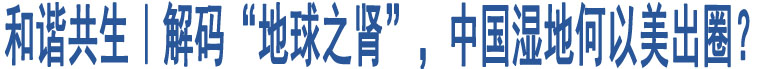 和諧共生｜解碼“地球之腎”，中國(guó)濕地何以美出圈？