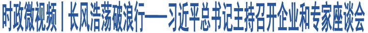 時(shí)政微視頻丨長(zhǎng)風(fēng)浩蕩破浪行——習(xí)近平總書記主持召開企業(yè)和專家座談會(huì)