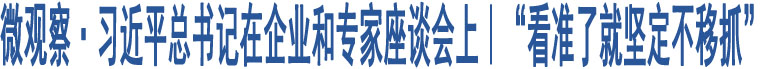 微觀察·習(xí)近平總書記在企業(yè)和專家座談會(huì)上｜“看準(zhǔn)了就堅(jiān)定不移抓”