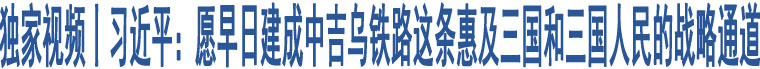 獨(dú)家視頻丨習(xí)近平：愿早日建成中吉烏鐵路這條惠及三國(guó)和三國(guó)人民的戰(zhàn)略通道