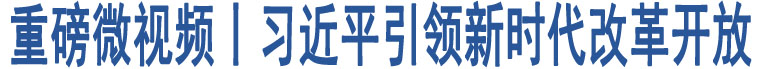 重磅微視頻丨習(xí)近平引領(lǐng)新時代改革開放