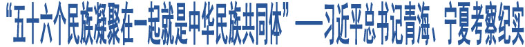 “五十六個民族凝聚在一起就是中華民族共同體”——習(xí)近平總書記青海、寧夏考察紀實