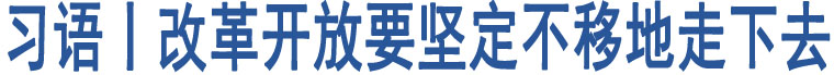 習(xí)語丨改革開放要堅定不移地走下去