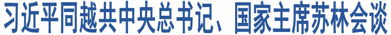 習(xí)近平同越共中央總書記、國家主席蘇林會談