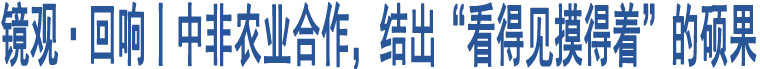 鏡觀·回響丨中非農(nóng)業(yè)合作，結(jié)出“看得見(jiàn)摸得著”的碩果